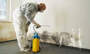 Best Mold Remediation for Healthcare Facilities in West Glendive, MT