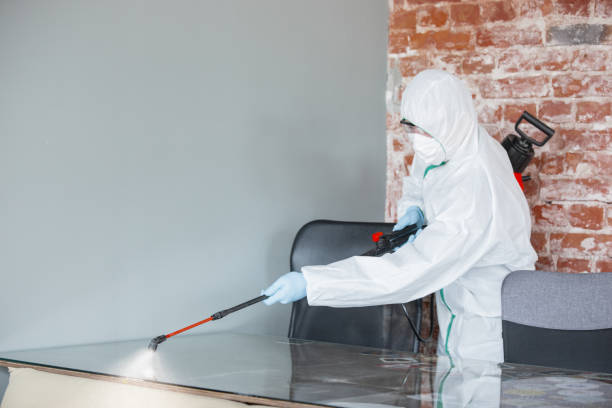 Reliable West Glendive, MT Mold Removal Solutions